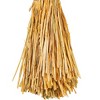 Vickerman 26" Dried Phalaris Bunch, 7 oz - 3 of 3