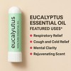 MOXĒ – Eucalyptus Nasal Inhaler 3 Pack – 100% Pure Essential Oil Nasal Stick – Cooling & Revitalizing Scent - 4 of 4