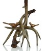 Antler Lodge Antler Table Lamp with Beige Shade - StyleCraft - 3 of 4
