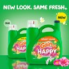 Gain Hibiscus Hula Happy HE Compatible Liquid Laundry Detergent Soap - 3 of 4