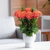 Dozen Fresh Cut Vibrant Roses - 2 of 4