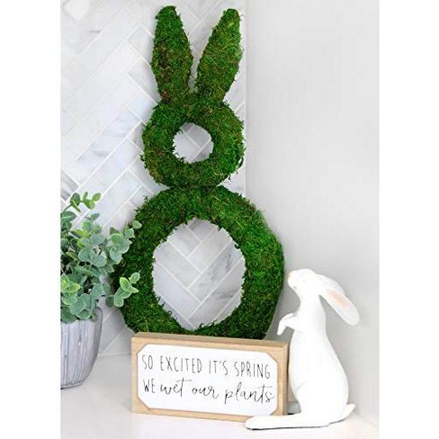 Auldhome Design Easter Spring Moss Wreath Base; Bunny Rabbit Shape Door ...