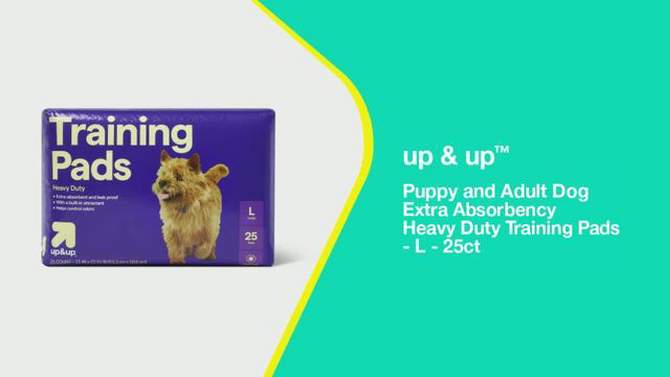 Puppy and Adult Dog Extra Absorbency Heavy Duty Training Pads - L - 25ct - up &#38; up&#8482;, 2 of 6, play video