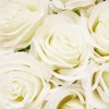 Juvale 12 Count Artificial Fake Silk Roses, Faux Flower Arrangement for Wedding Decoration, Bridal Bouquet & Home Decor, White - 4 of 4