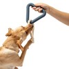 Wild One Triangle Tug Engaging Dog Toy : Target