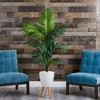 Nearly Natural 69-in Kentia Artificial Palm Tree in White Planter with Stand - 3 of 3
