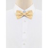 Allegra K Men's Halloween Polka Dots Pre-Tied Work Formal Party Tuxedo Bowknot Bow Ties - 2 of 4