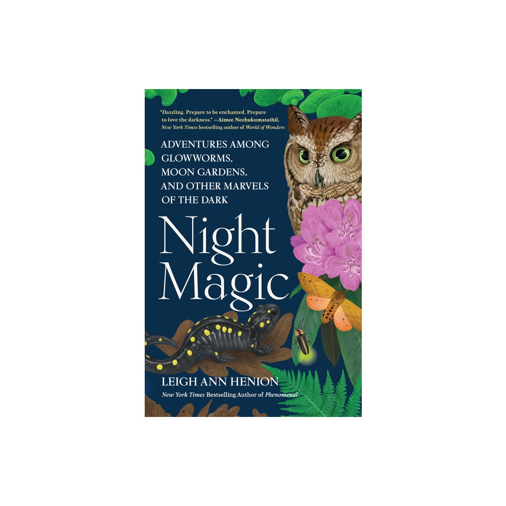 Night Magic - by Leigh Ann Henion (Hardcover)