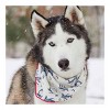 Pink Papyrus Marlowe Dog Bandana - M - 3 of 4
