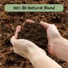 Soil Sunrise Olive Tree Potting Soil Mix, for Planting, Repotting, Growing Plants - 4 of 4