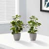 GlasFlength Artificial Plants Small Fake Plants Artificial Grass Plants Faux Plants for Indoor Home Table Decoration, Green, 10"*9"*14" - 3 of 4