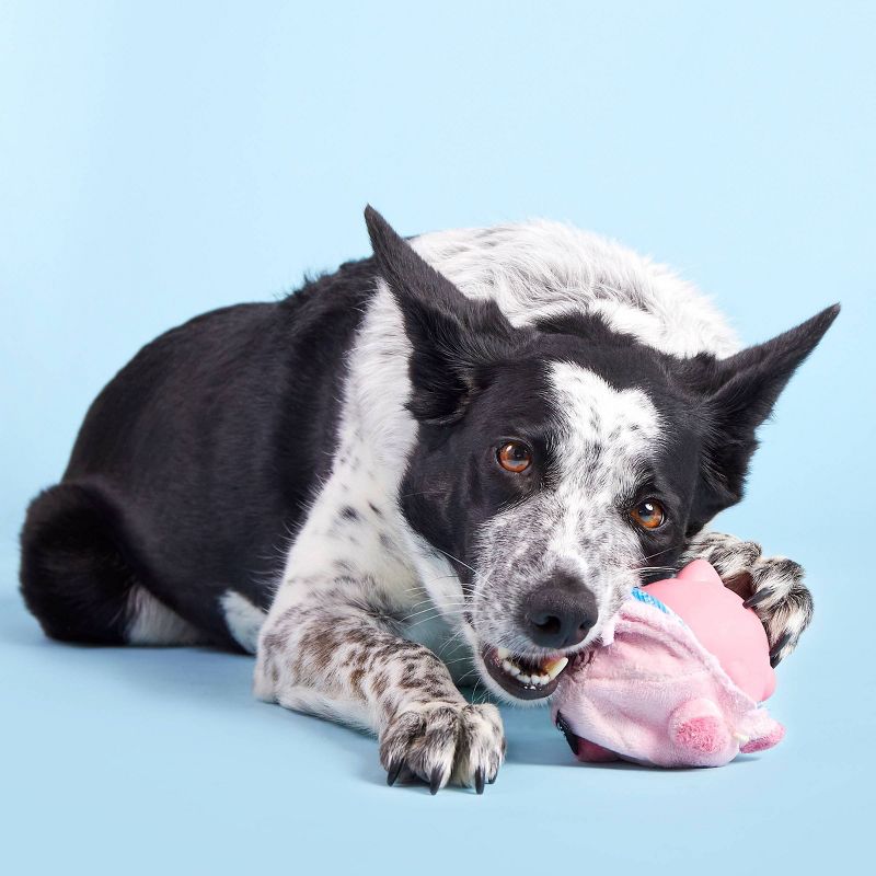 BARK Super Chewer Pig Dog Toy - Hambone, 5 of 15