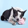 BARK Super Chewer Pig Dog Toy - Hambone - image 4 of 4