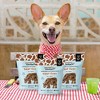 Joyride's Kitchen Premium Beef Liver Freeze-Dried Raw Dog Treats - 3oz - 3 of 4