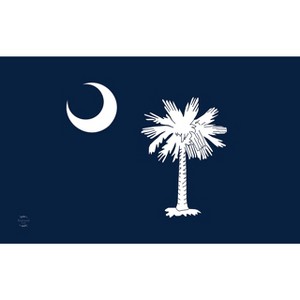 Briarwood Lane Everyday Doormat 30x18 Indoor Outdoor South Carolina Palm Tree Doormat - 1 of 4