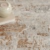 Nourison Glam Modern Vintage Indoor Area Rug - 3 of 4