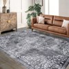 Washable Area Rug, Low-Profile Rug with Non-Slip Backing & Durable Edge Binding, Vintage Rugs for Living Room, Bedroom, Dinning Room - 2 of 4