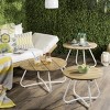 Henderson 3 Piece Wood Top Indoor/Outdoor Coffee Table - PAT6747 - Natural/White - Safavieh - 3 of 4