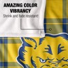 Fort Valley State University Campus Plaid Spirit Silky Touch Super Soft Throw Blanket 50x60 - 4 of 4