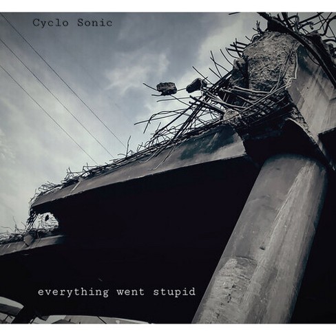 Cyclo-Sonic - Everything Went Stupid (Vinyl) - image 1 of 1