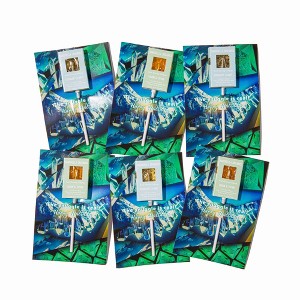 Amborella Organics 6pk Happy Holidays Greeting Cards with Seed-Bearing Lollipops Flower Seeds - 1 of 4