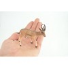 Collectible Wildlife Gifts | Gazelle Antelope, Hand Painted, Museum Quality, Rubber Animal, Diorama, Toy,  Gift, 3 1/2 Inches.  CH857 BB198 - 2 of 4