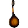 Kentucky KM-270 Deluxe Oval Hole A-Style Mandolin Vintage Sunburst - 2 of 4