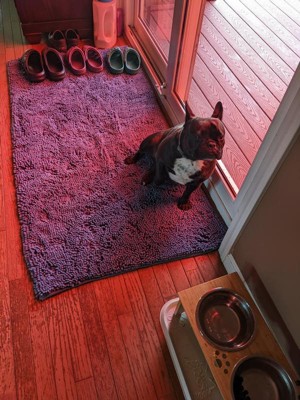 My Doggy Place - Ultra Absorbent Microfiber Dog Door Mat, Durable, Quick Drying, Washable, Prevent Mud Dirt, Keep Your House Clean (Charcoal w/ Paw