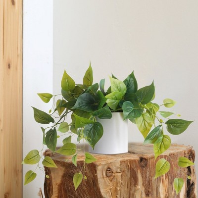 Potted Green Ivy in White Ceramic Tabletop Planter