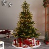 Nearly Natural 6-ft North Carolina Spruce Artificial Christmas Tree with 350 Clear Lights and 631 Bendable Branches - 4 of 4