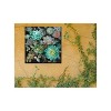 Cottage Garden West of The Wind Succulent Fanfare Green, Black, Red 24 x 24 Inch Waterproof Gallery Wrapped Canvas, Outdoor Garden, Yard, Patio All - 2 of 2