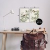 Stupell Industries Classic Sparrow on Blossoms, 10" x 15" - 3 of 4