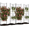 Elegant 2 Rack Baroque Iron Trellis for Climbing Plants, 1.6FT Tall Rustproof Garden Support for Roses, Vegetables, and Indoor Potted Plants - 2 of 4