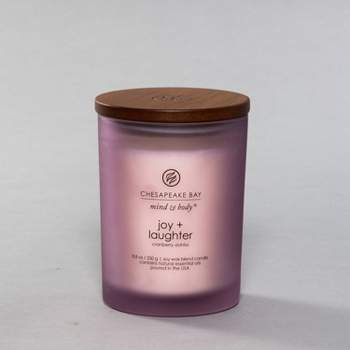 100ml Oil Fiber Reed Diffuser Black Honey Vanilla Plum Purple - Threshold™  : Target