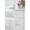 Amerock Glacio Oval Cabinet or Furniture Knob - 2 of 4