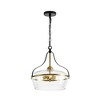 Rennnsan Jasmine 3-Light Industrial Black/Gold Dome Kitchen Island Pendant Light, Vintage Cage Glass Ceiling Light - 3 of 4