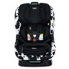 Britax Poplar S ClickTight Technology Convertible Car Seat - Cowmooflage - 3 of 4
