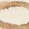 ivory/camel