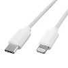 XYST™ USB-C® to Lightning® Cable, White (10 Ft.) - 4 of 4