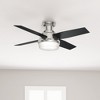 Hunter Dempsey 44" Lighted Ceiling Fan Brushed Nickel with Black Oak Blades - Contemporary Design for Modern Interiors - 4 of 4
