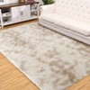 Fluffy Shaggy Rug: Tie-Dyed Furry Non-Shedding Plush Rug – Fuzzy Accent Carpet for Living Room, Bedroom | Soft Feet-Friendly Home Decor Floor Cover - 3 of 4