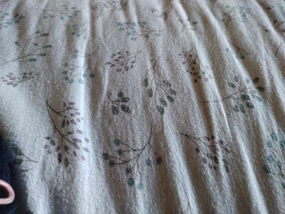 Guest review image 2 of 2, zoom in