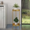Angel Sar 2-Tier Round Metal Plant Stand, Large Gold Plant Pot Stand for Indoor Plants, Modern Tiered Display for Multiple Pots - 3 of 4