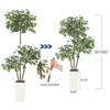 5FT/6FT Artificial Ficus Tree - White Planter, Natural Trunks, White-Edged Leaves - Ideal for Indoor Decor - 4 of 4