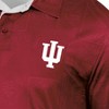 NCAA Indiana Hoosiers Men's Tropical Polo T-Shirt - 3 of 3