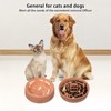 GustoWave Pet Slow Feeder Bowl, Double Sided Food Water Bowls, 2 in 1 Silicone Slow Feeder 10 Degree Tilted, Blue - 4 of 4