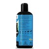 Pet Honesty Omega 3 Salmon Flavor Fish Oil Supplement for Dog and Cat - 16oz - 2 of 4