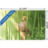 Trends International Fruits Basket - Kyo Soma Unframed Wall Poster Prints - 3 of 4