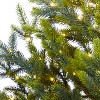 Nearly Natural 5-ft Fraser Fir Natural Look Artificial Christmas Tree with 200 Clear LED Lights, a Burlap Base and 853 Bendable Branches - 3 of 4