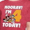 Girls' - Disney - Hooray I'm 4 Today Short Sleeve Graphic T-Shirt - 2 of 4